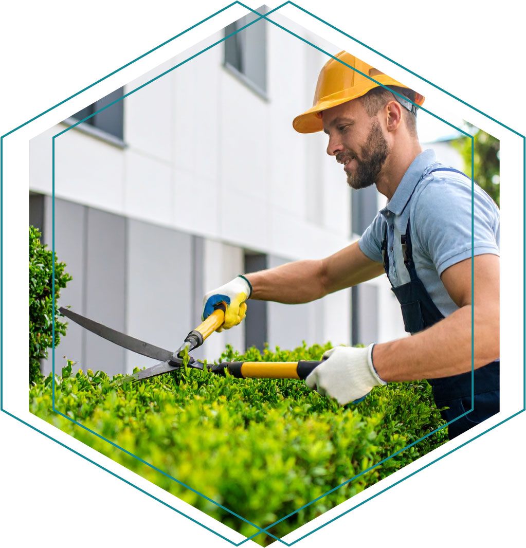 Innova Hausmeisterservice